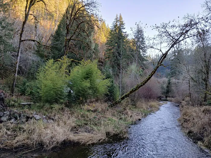 Tadpole Manor in Deadwood Camp Picture 6