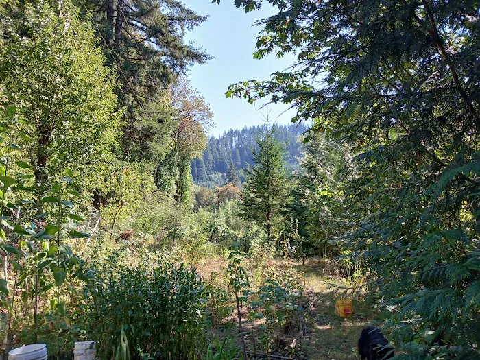 Tadpole Manor in Deadwood Camp Picture 7