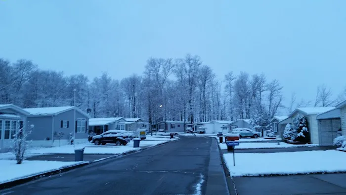 Southern Terrace Picture 3