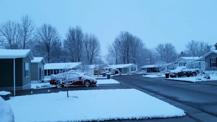 Southern Terrace Picture 1