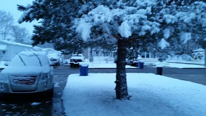 Southern Terrace Picture 2