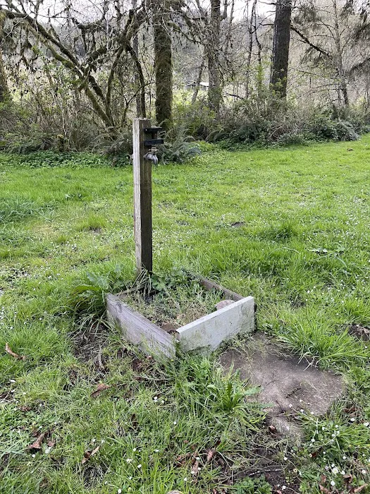 Big Elk Campground Picture 5