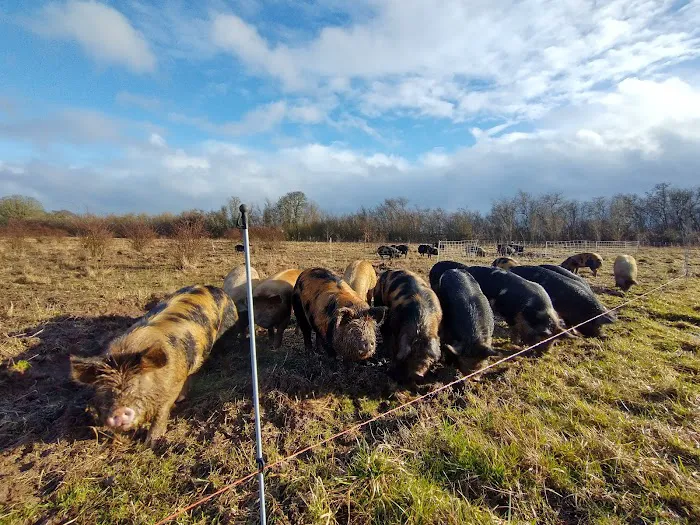 Big Elk Campground Picture 2