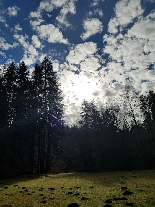 Canal Creek Campground Picture 5