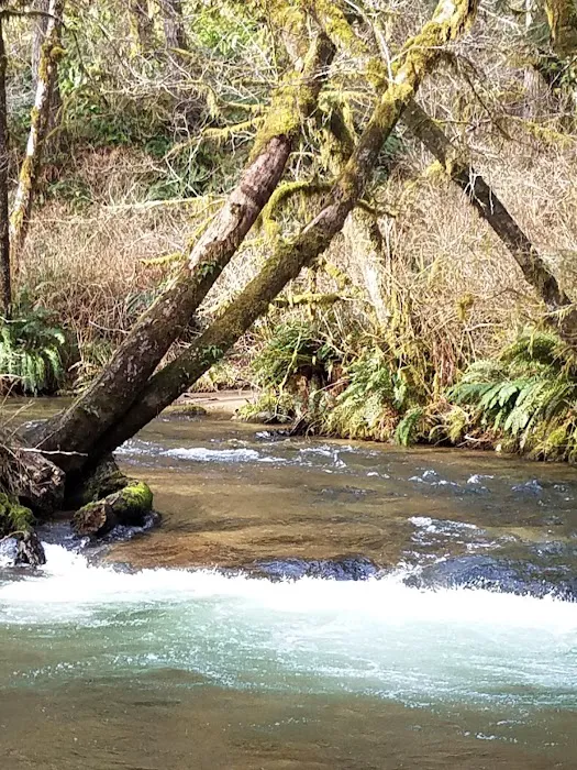 Canal Creek Campground Picture 3