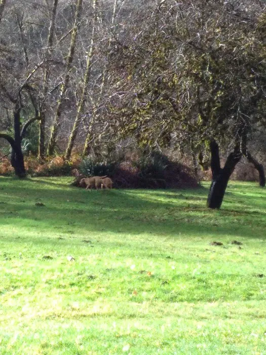 Canal Creek Campground Picture 8