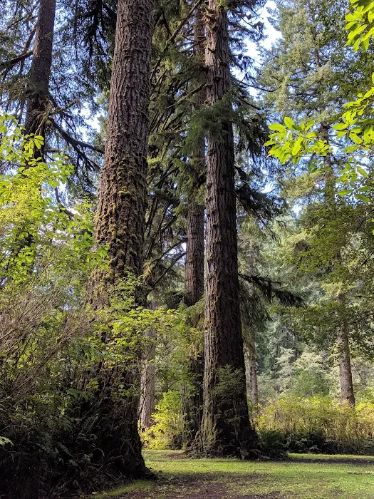 Canal Creek Campground Picture 9