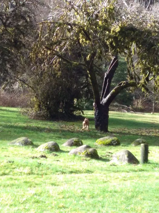 Canal Creek Campground Picture 4