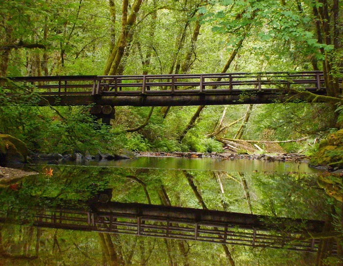 Whittaker Creek Recreation Site Picture 4