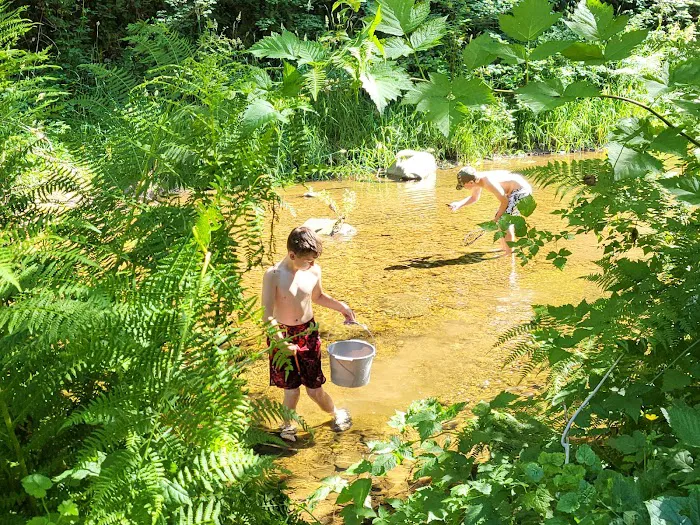 Archie Knowles Campground Picture 4