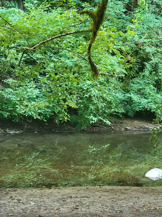 Archie Knowles Campground Picture 1