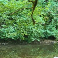 Archie Knowles Campground ico