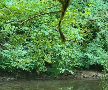 Archie Knowles Campground