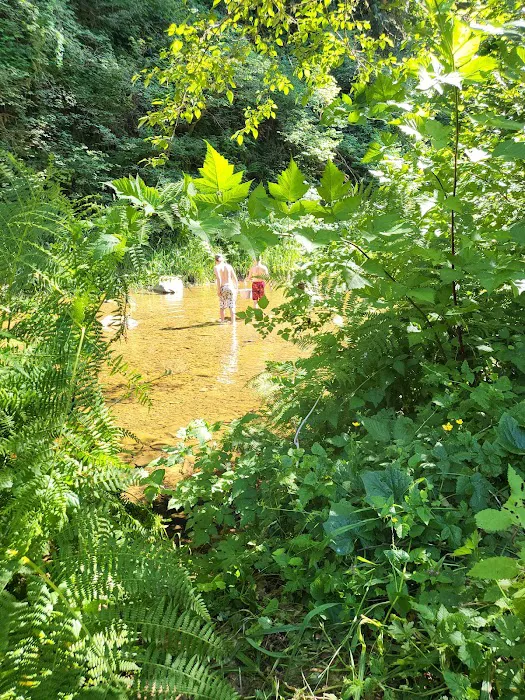 Archie Knowles Campground Picture 5