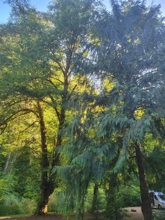 Archie Knowles Campground Picture 2