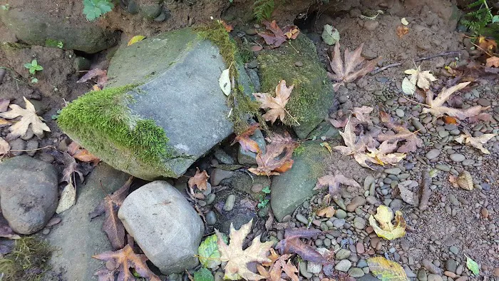 Archie Knowles Campground Picture 10