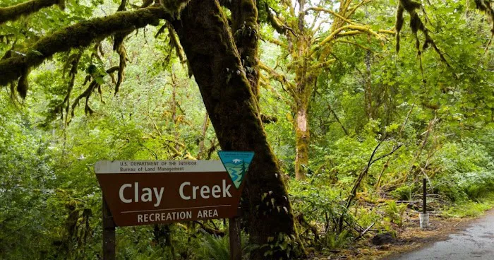Clay Creek Recreation Site Picture 5