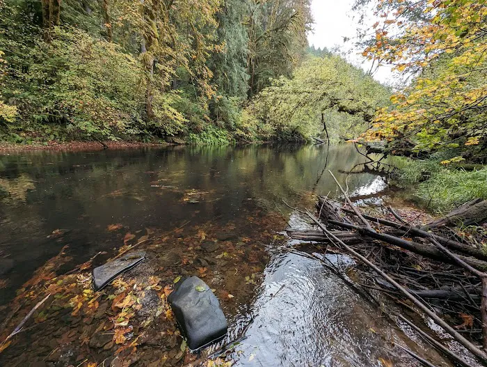Clay Creek Recreation Site Picture 3
