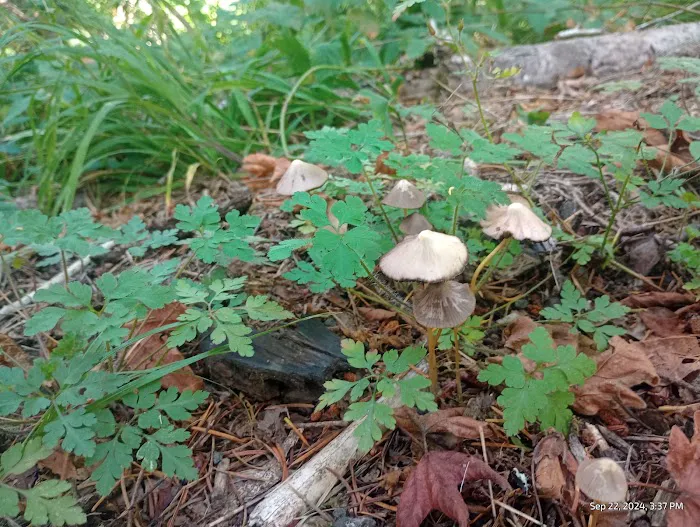 Clay Creek Recreation Site Picture 8