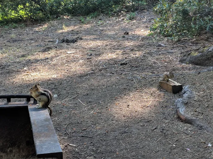 Blue Bay Campground Picture 6