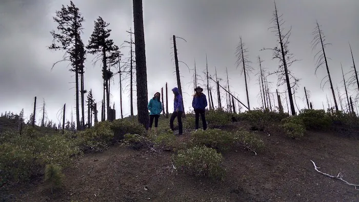 Blue Bay Campground Picture 4