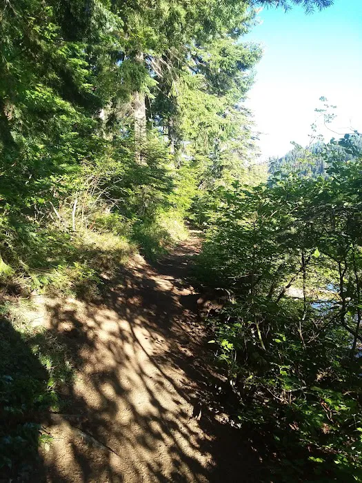 Blue Bay Campground Picture 10