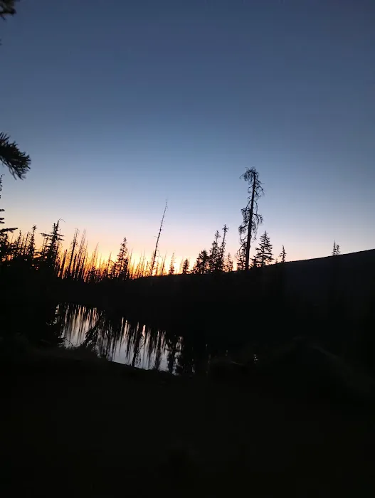 Lava Camp Lake Campground Picture 1