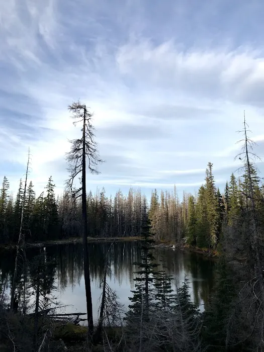 Lava Camp Lake Campground Picture 5