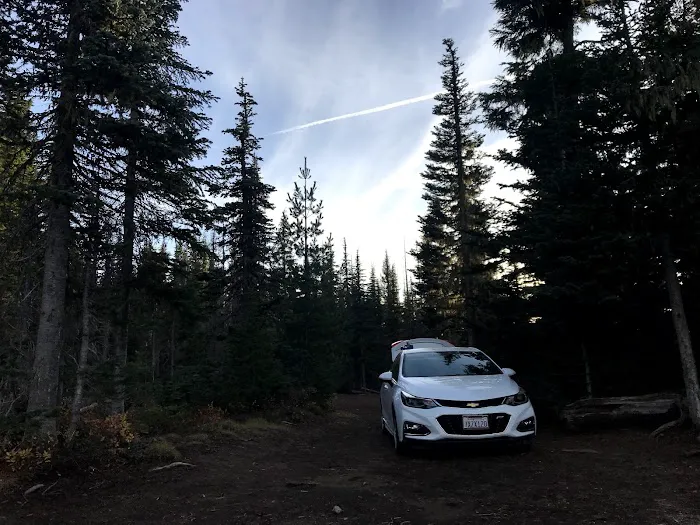 Lava Camp Lake Campground Picture 6