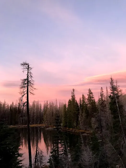 Lava Camp Lake Campground Picture 3