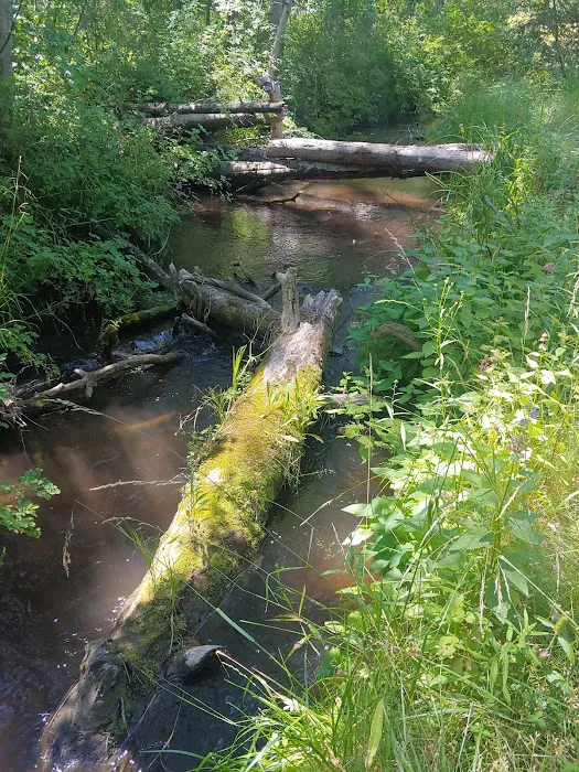 Indian ford campground Picture 8