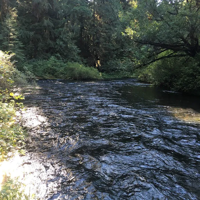 Limberlost Campground Picture 2