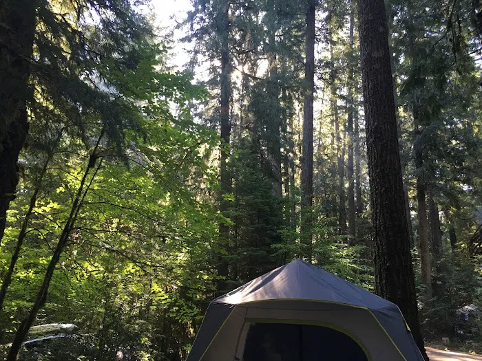 Limberlost Campground Picture 1