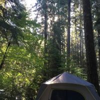 Limberlost Campground ico