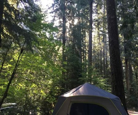 Limberlost Campground