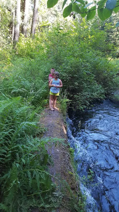 Limberlost Campground Picture 10