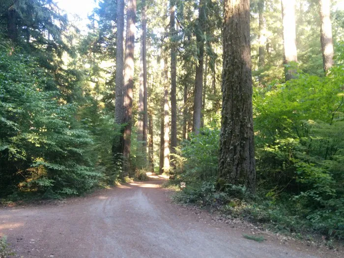 Limberlost Campground Picture 5