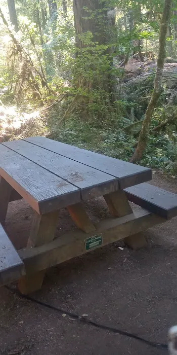 Limberlost Campground Picture 2