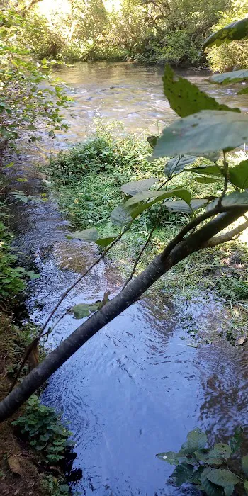 Limberlost Campground Picture 3