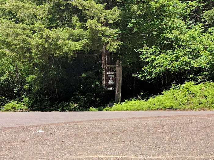 Camp White Branch Picture 8