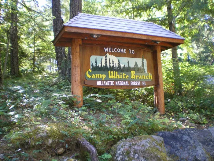 Camp White Branch Picture 6