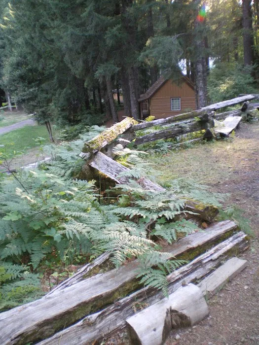 Camp White Branch Picture 4