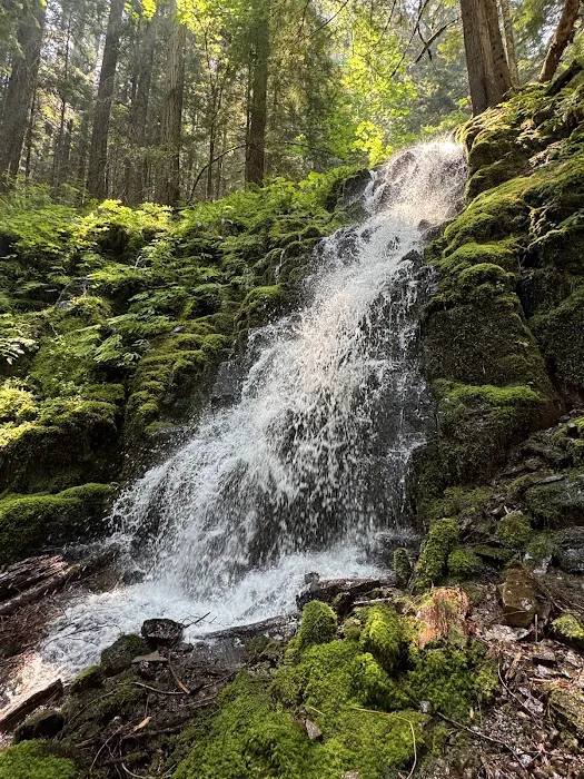 Camp White Branch Picture 1