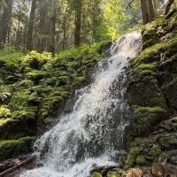 Camp White Branch ico