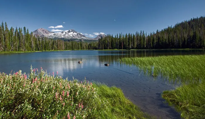 Scott Lake Campground Picture 1