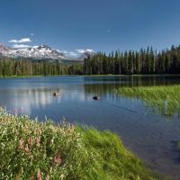 Scott Lake Campground ico