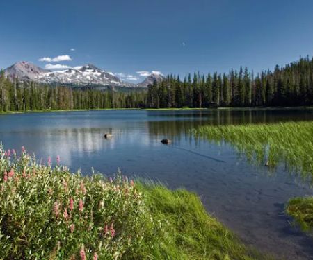 Scott Lake Campground