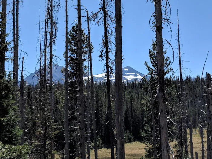 Scott Lake Campground Picture 8