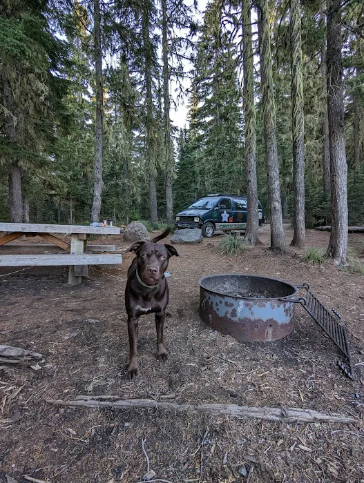 Scott Lake Campground Picture 9