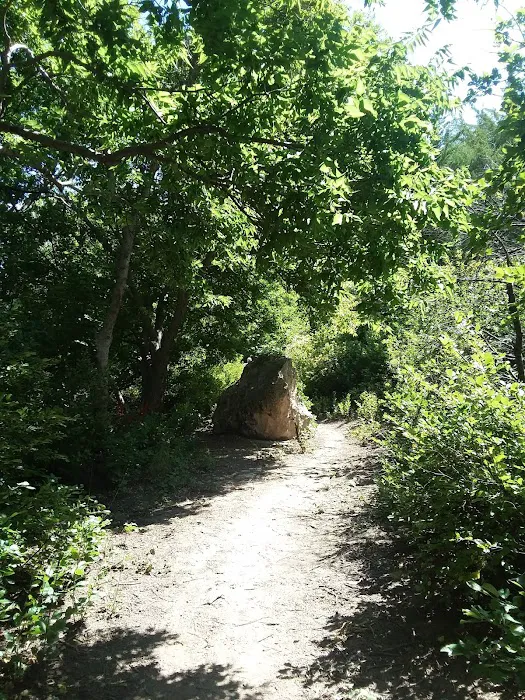 Scott Lake Campground Picture 5